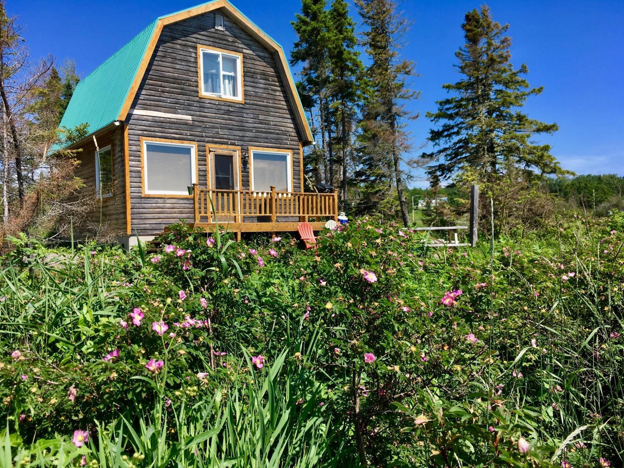 Chalets Du Bout Du Monde Gaspé المظهر الخارجي الصورة
