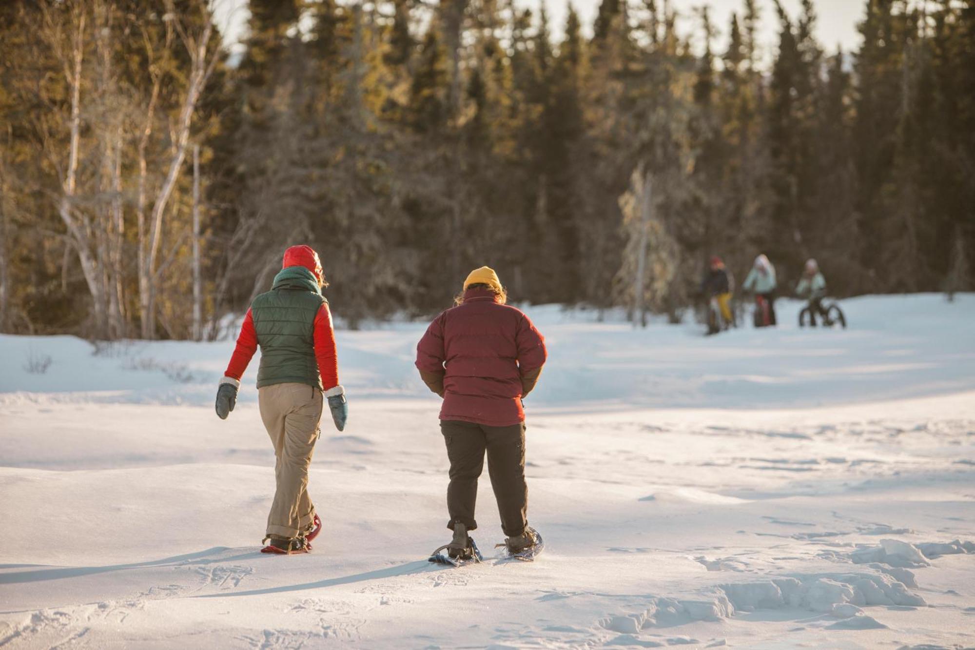 Chalets Du Bout Du Monde Gaspé المظهر الخارجي الصورة
