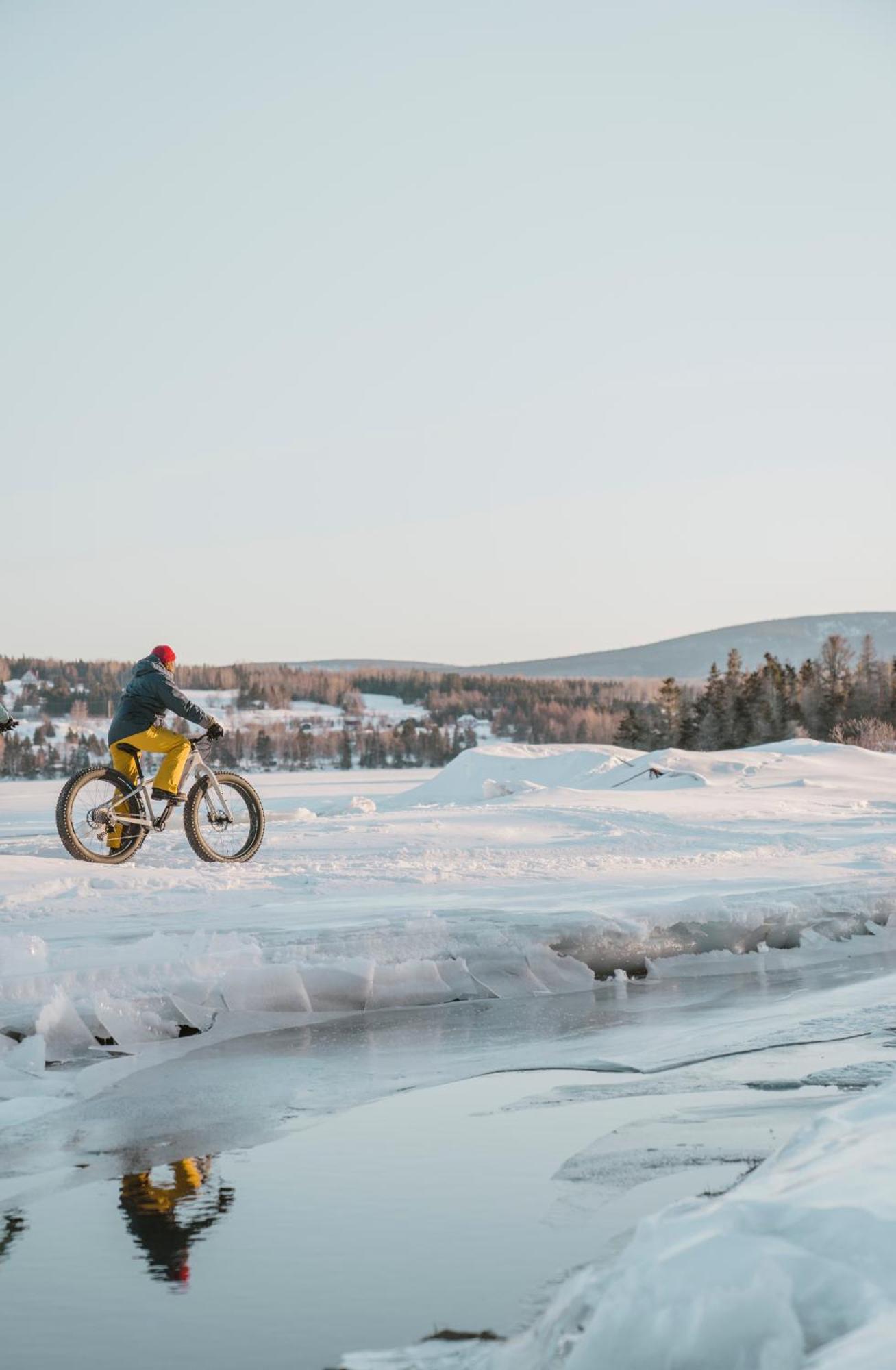 Chalets Du Bout Du Monde Gaspé المظهر الخارجي الصورة