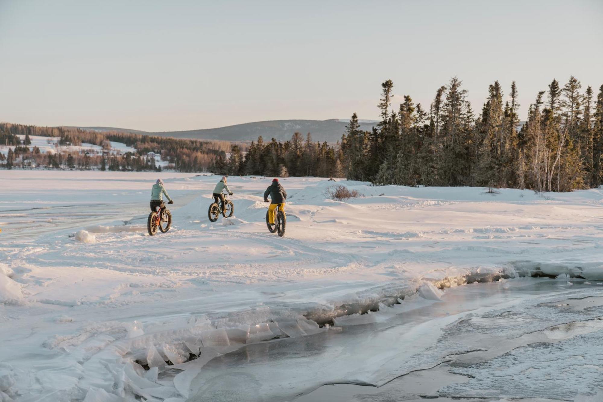 Chalets Du Bout Du Monde Gaspé المظهر الخارجي الصورة
